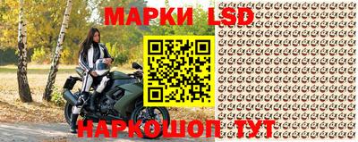 шишки Бузулук