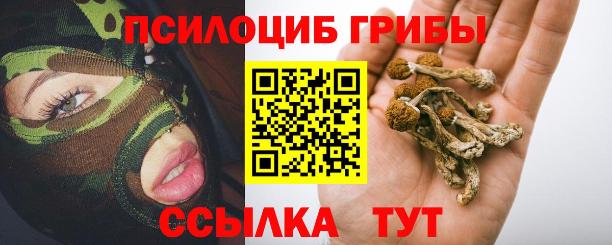 Галлюциногенные грибы ЛСД Кольчугино