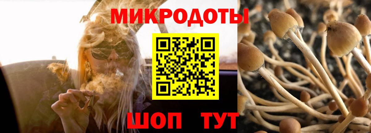 Галлюциногенные грибы Cubensis  Вход с VPN  Кольчугино  Галлюциногенные грибы Magic Shrooms 