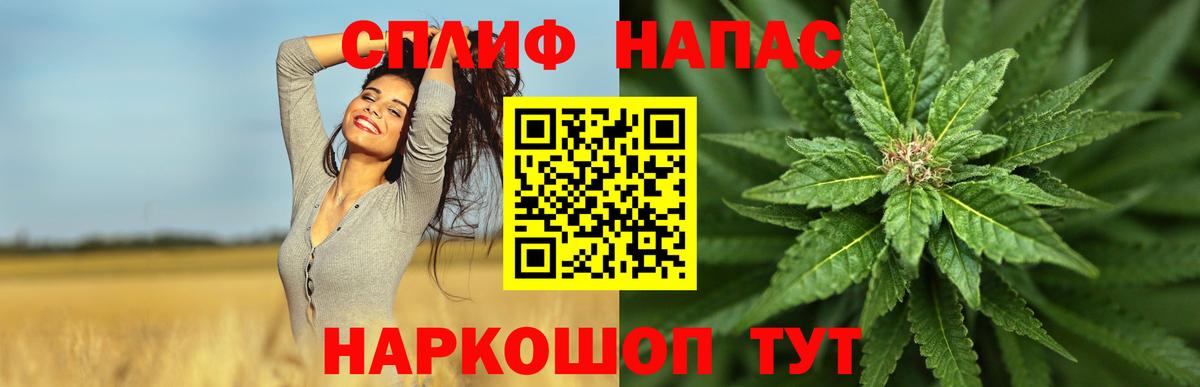 Кольчугино  Бошки Шишки гибрид  Вход с VPN  Конопля план 